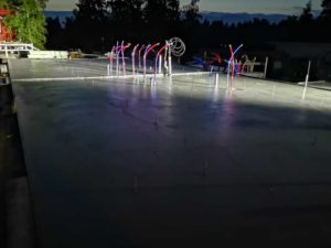 bsh